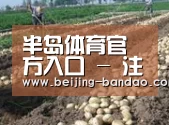种植基地七(图1)